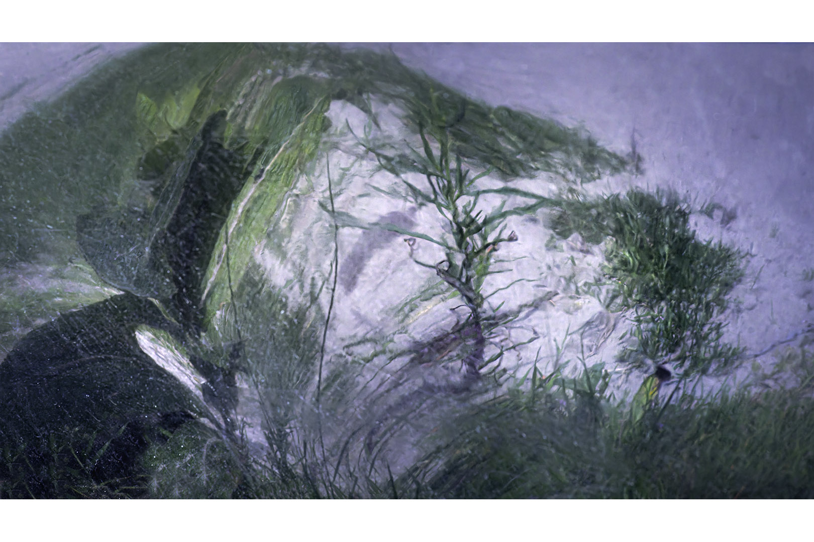 20240620-IMGP9716-DNG-bewerkt kopiëren kopie