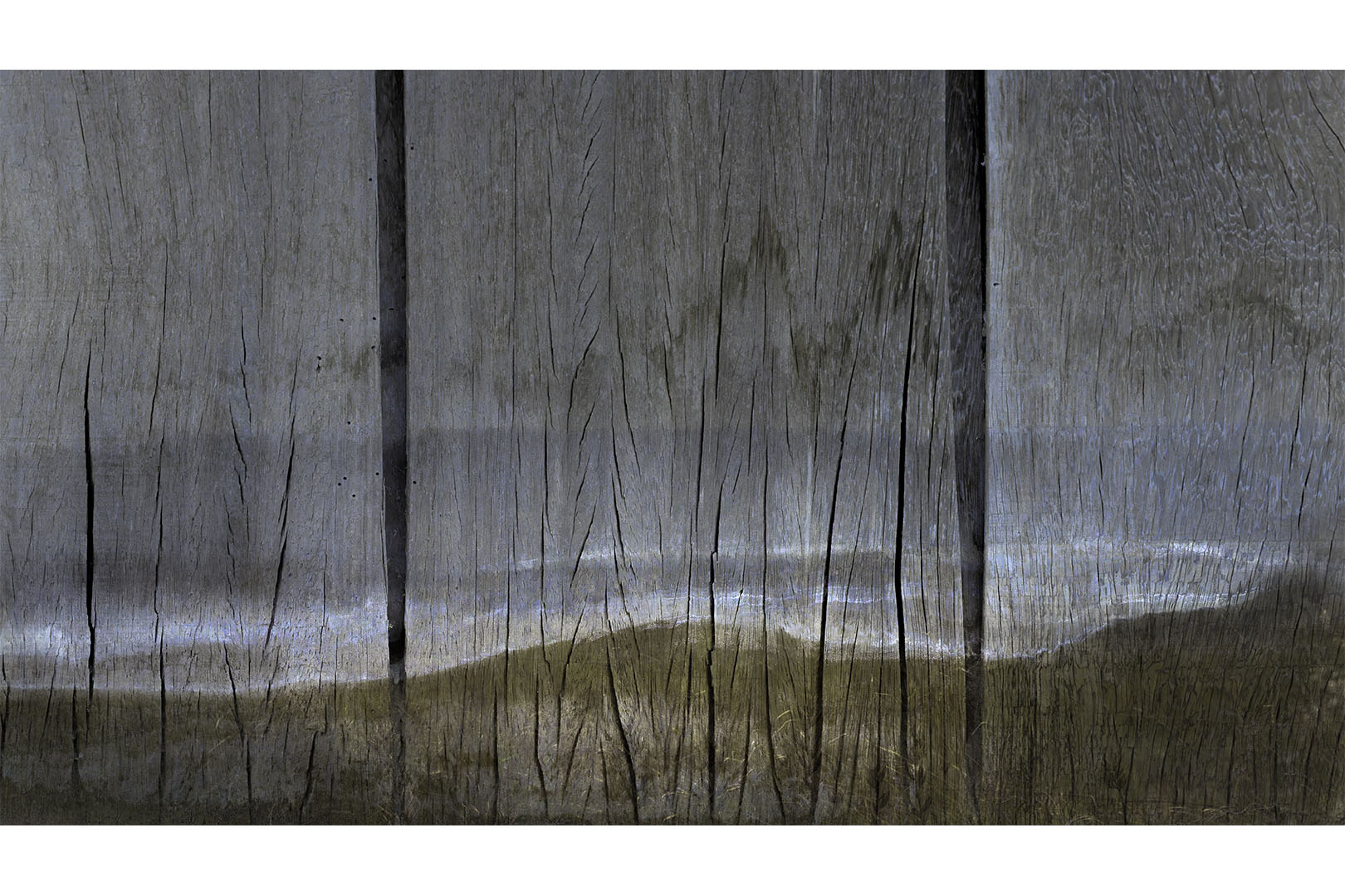 20240826-IMGP2183-DNG-bewerkt kopie