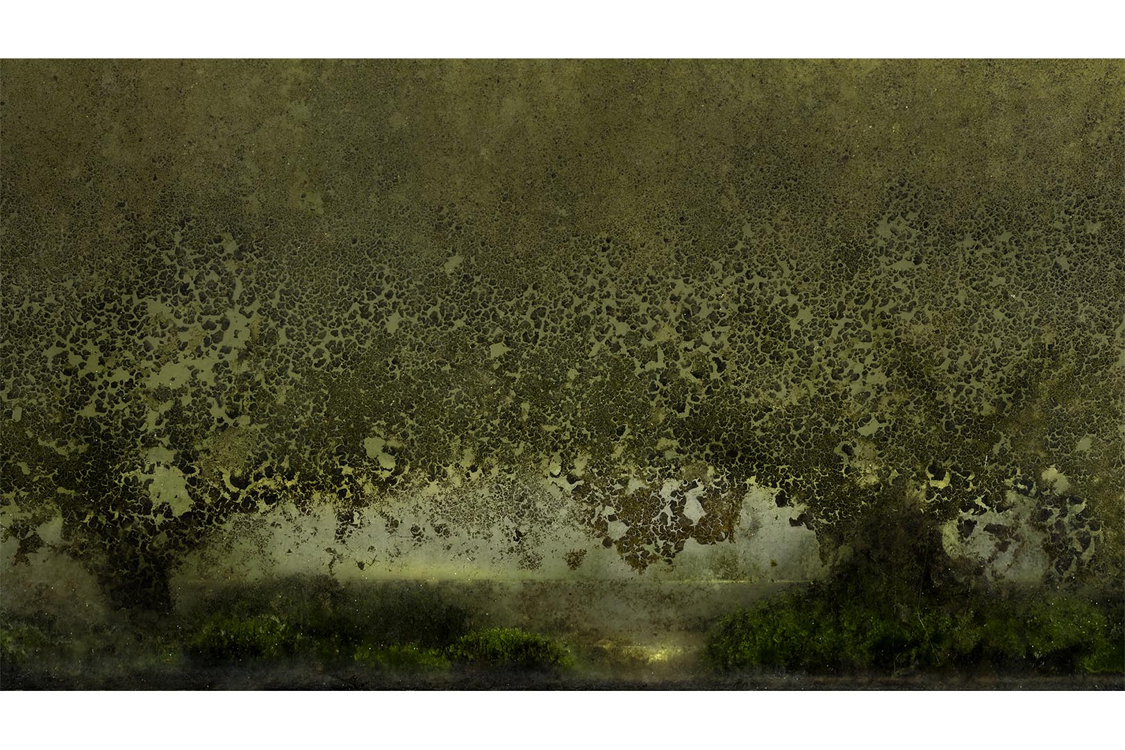 20241007-IMGP3128-DNG-bewerkt versie 1 kopiëren kopie