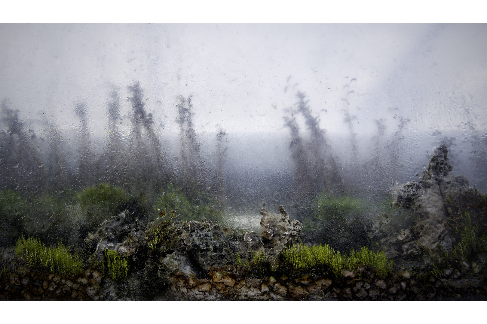 IMGP9756-Verbeterd-NR-bewerkt kopie