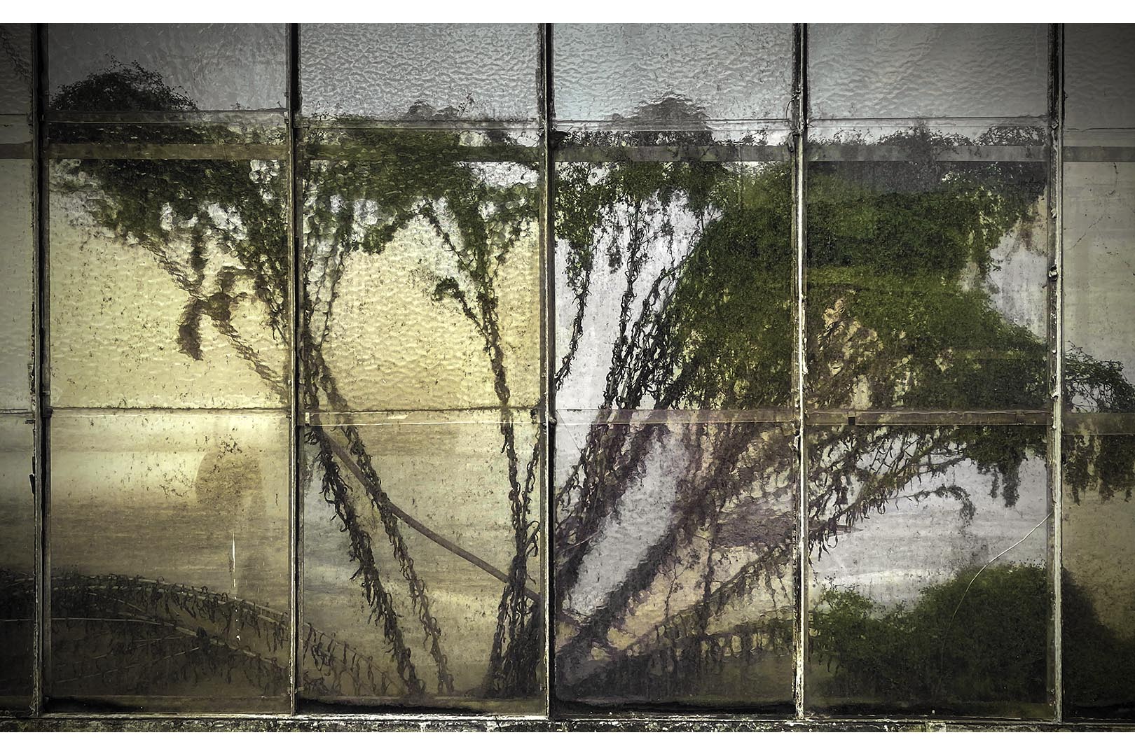 IMG_9186-bewerkt kopiëren kopie