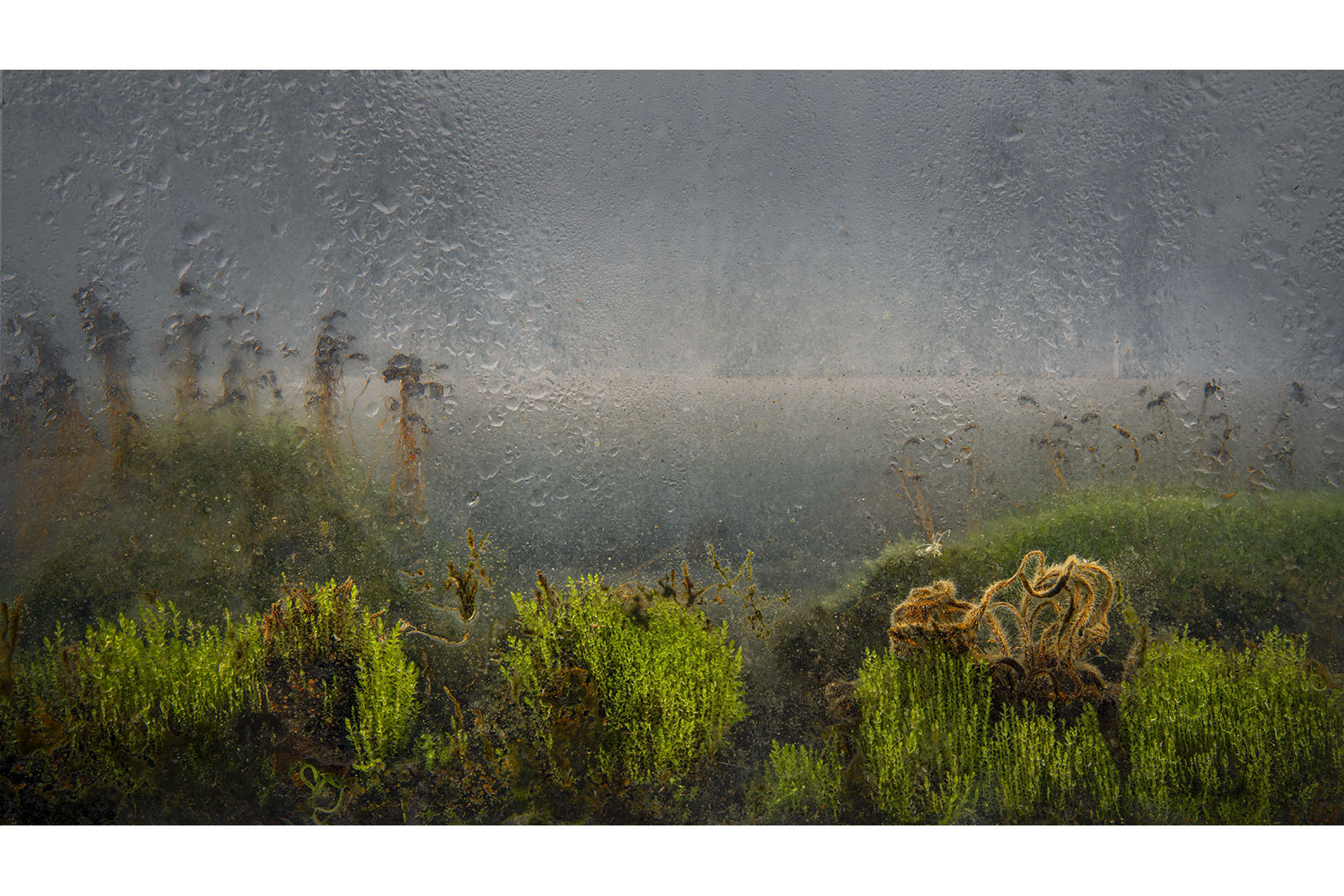 Naamloos-1 versie 2 kopie