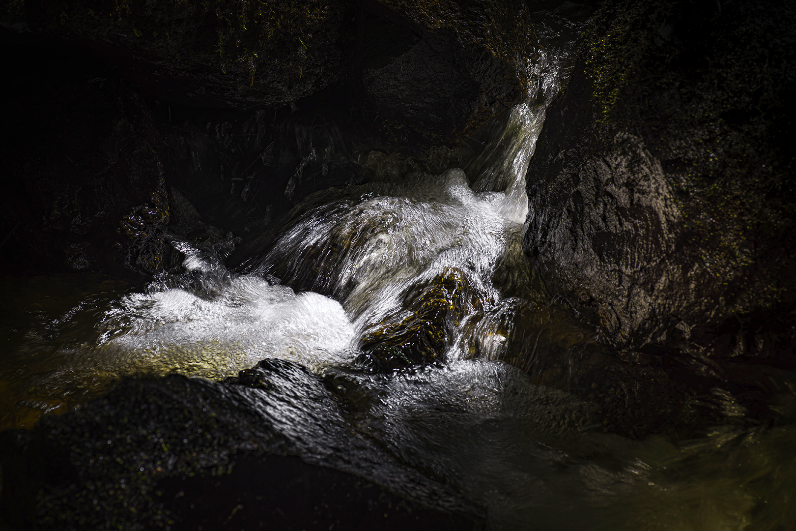 20240726-IMGP0486-DNG-bewerkt kopiëren kopie