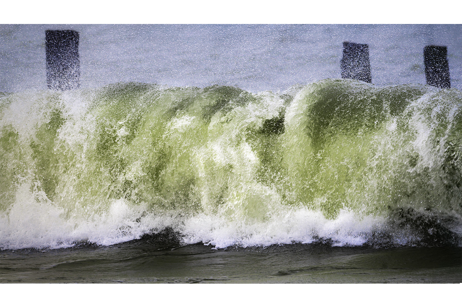 20241218-IMGP7613-bewerkt 2 kopie