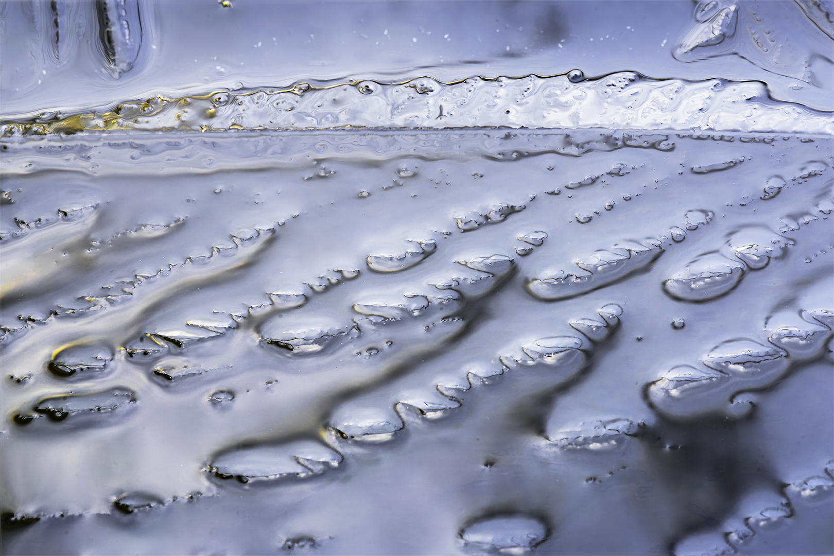 zeggenskracht winter Marion 1 kopie